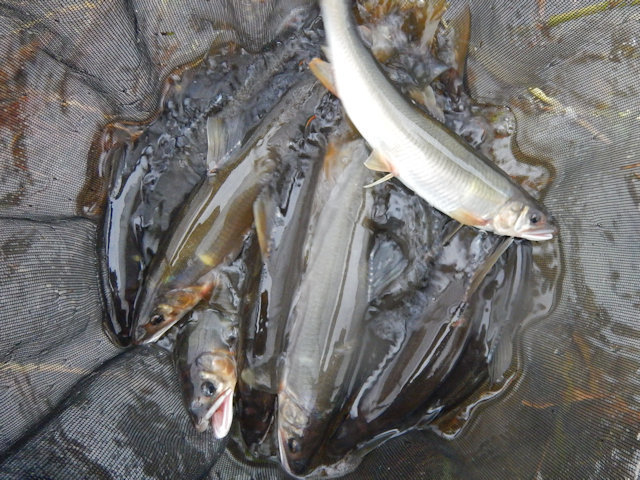 DSCN1015.JPG