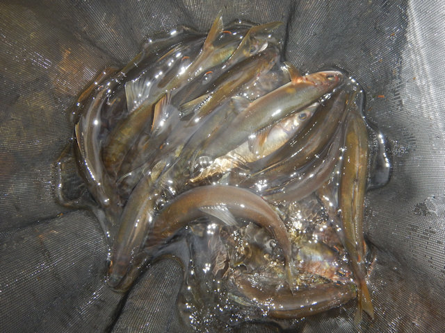 DSCN1023.JPG