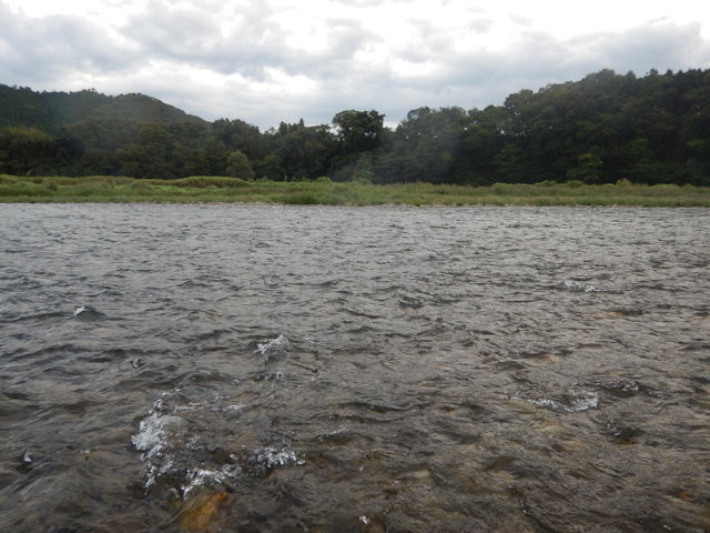 DSCN1032.JPG