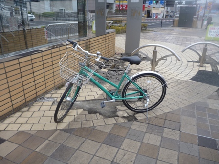 P1000328.JPG