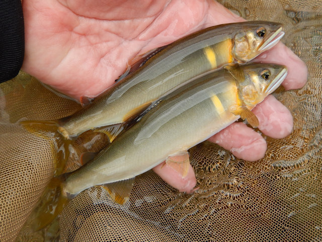 シーズン総括 Kikuの釣欲無限大