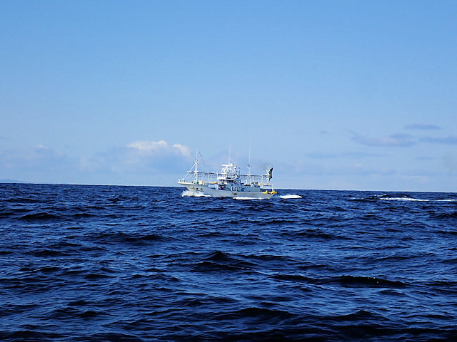 P3070006.JPG