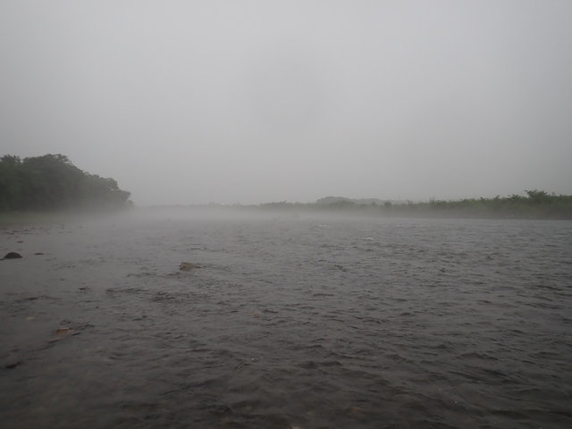 P8140032.JPG